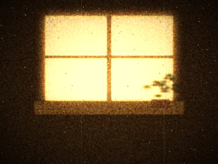 The front room window, nets drawn, a plant on the sill